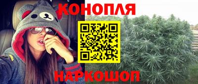 индика Кандалакша