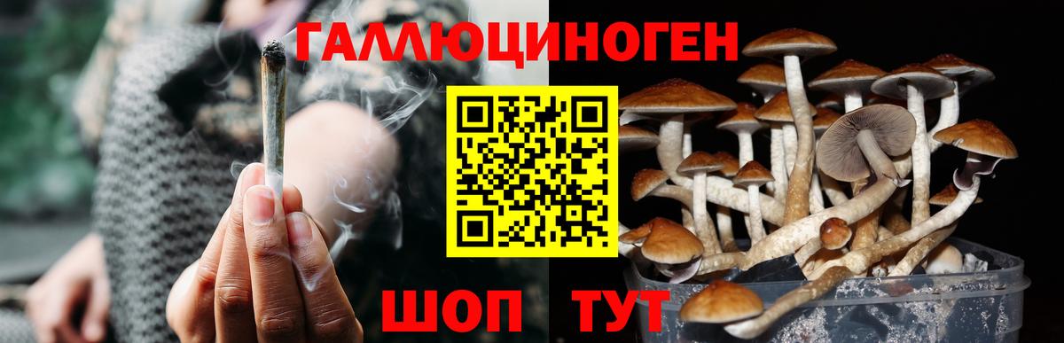 Псилоцибиновые грибы мухоморы Лангепас